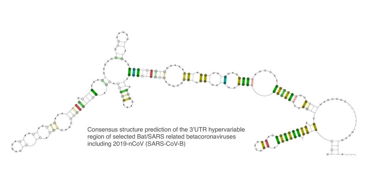 Michael T Wolfinger tweet media
