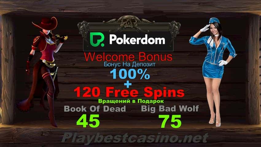 pokerdom casino бонусы