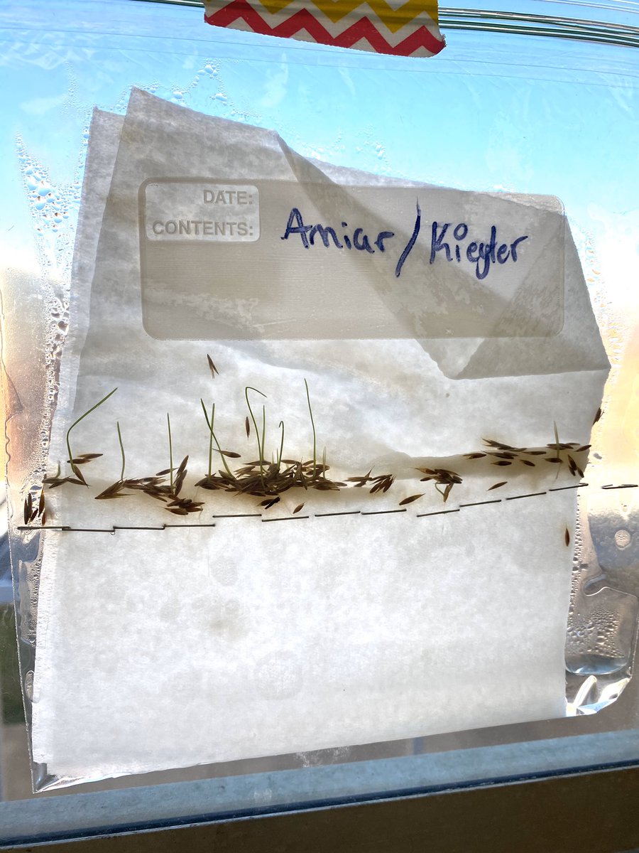 Carey Arensberg, M.Ed, CTRP-E tweet media