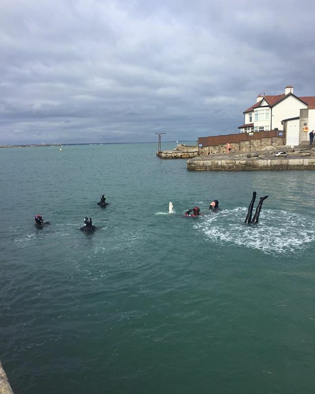 ucdsubaqua's tweet photo. Snorkelling...it’s not for everyone 😂💦🌊 #aqualung #ucd #subaqua #snorkel #northerndiver #baltic #irishsea https://t.co/R8fLJvtRaQ https://t.co/lm4SOg7QbR