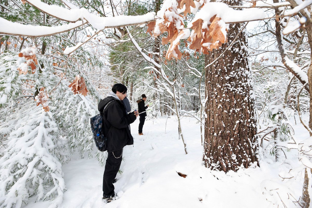 Two students take notes in snow-covered woods
