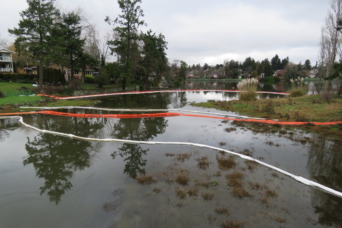 SalishSeaFuture's tweet image. Orange-coloured oil spill boom which has now been deployed alongside the absorbent boom at the site of the Gorge Creek heating oil spill in Esquimalt, BC.. NB Neither boom is very effective against this particular type of hydrocarbon, which tends to either go over it or under it.