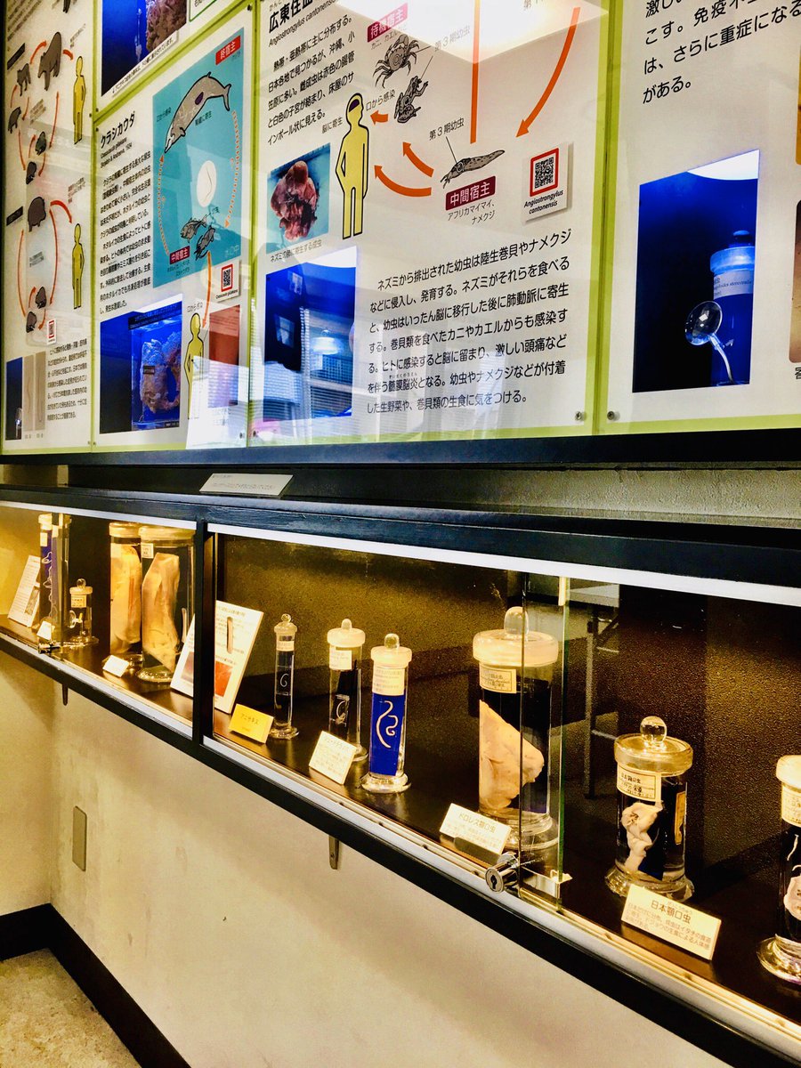 寄生虫館 Twitter Search 寄生虫館 Twitter Search