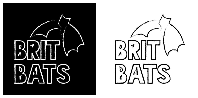 bats