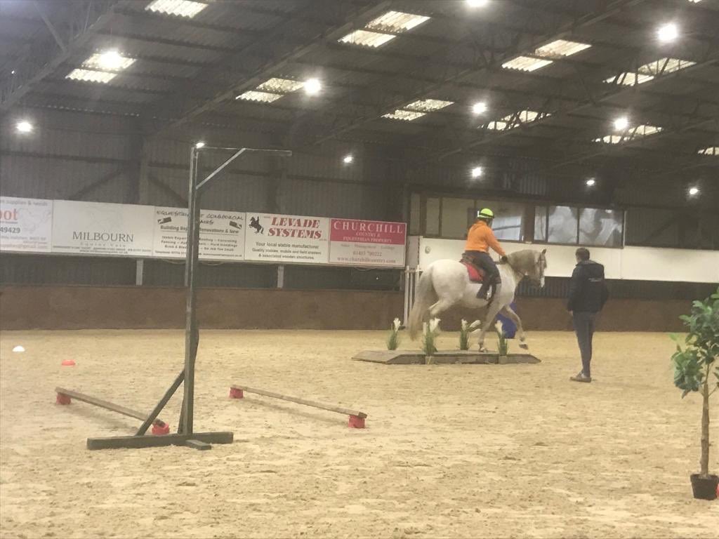 Tweeklet's tweet photo. Fun time at Golden Cross today learning all about working equitation on my friend’s boy Ron. Some bits we nailed, some we didn’t but all in all, great fun
#workingequitation #paulosantos #navaron https://t.co/AuOH5qeDYJ