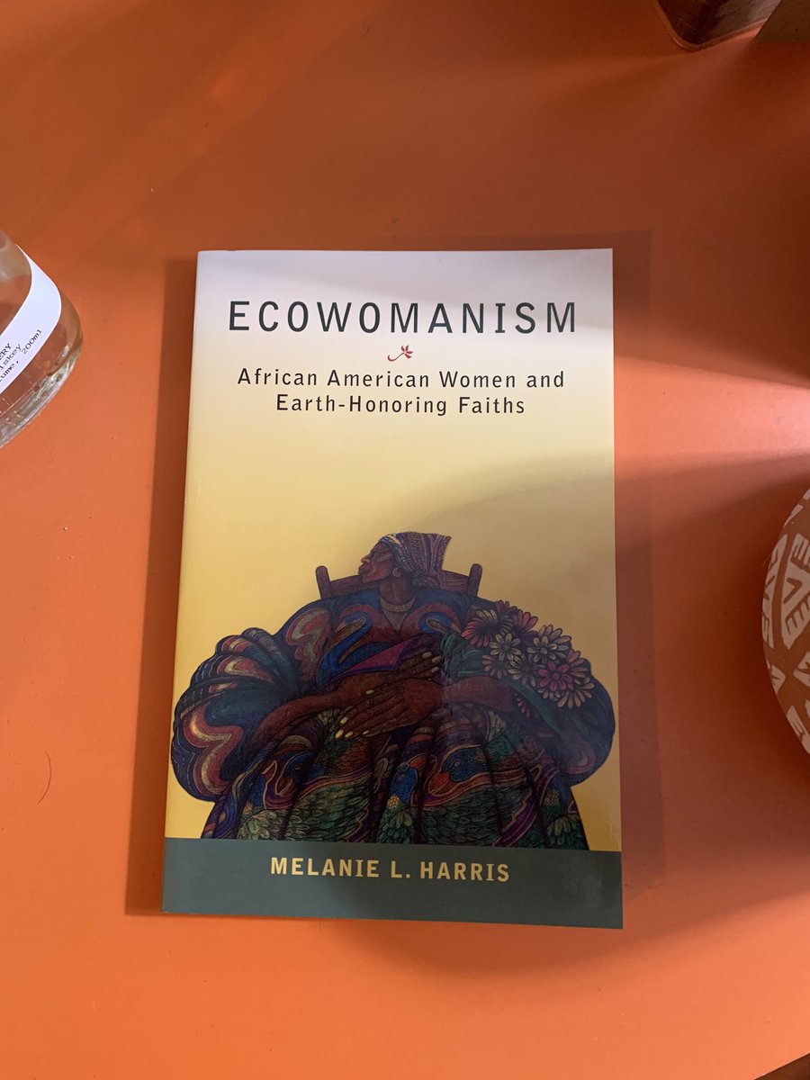 ChandraFarley's tweet image. Amazing day with @GeorgiaIPL! Rev. Dr. Melanie Harris was powerful and I can’t wait to start her book! #gts #ecowomanism #ecowomanist #climatechange #energyequity #justenergy #environmentaljustice
