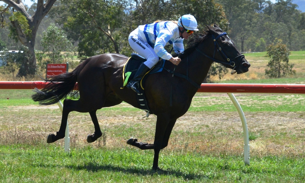 Picnic Racing tweet media