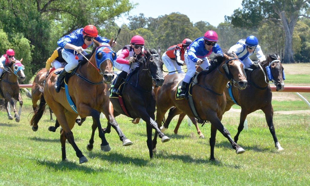 Picnic Racing tweet media