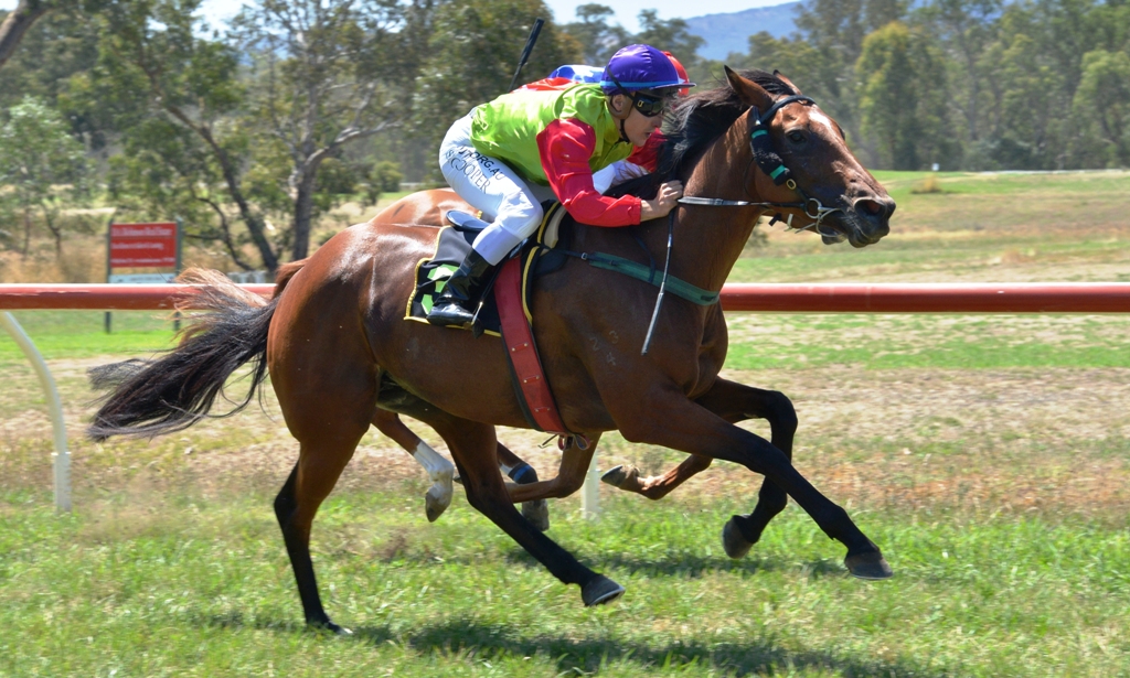 Picnic Racing tweet media