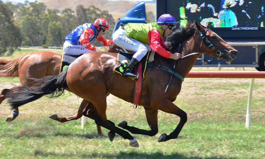 Picnic Racing tweet media
