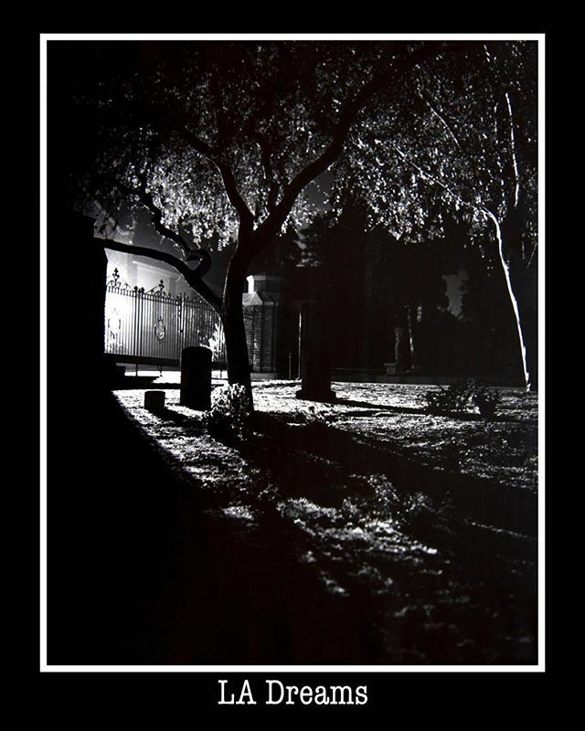 MStreetPhoto's tweet image. This is a memory of a date I had with a Scientologist Blonde back in 1966 in LA. I wanted a dramatic, spooky depressing shot. The kind an angst ridden 18 year old neurotic is fond of. My 1st date blonde said, I know just the spot. After climbing the fenc… ift.tt/2O03brl