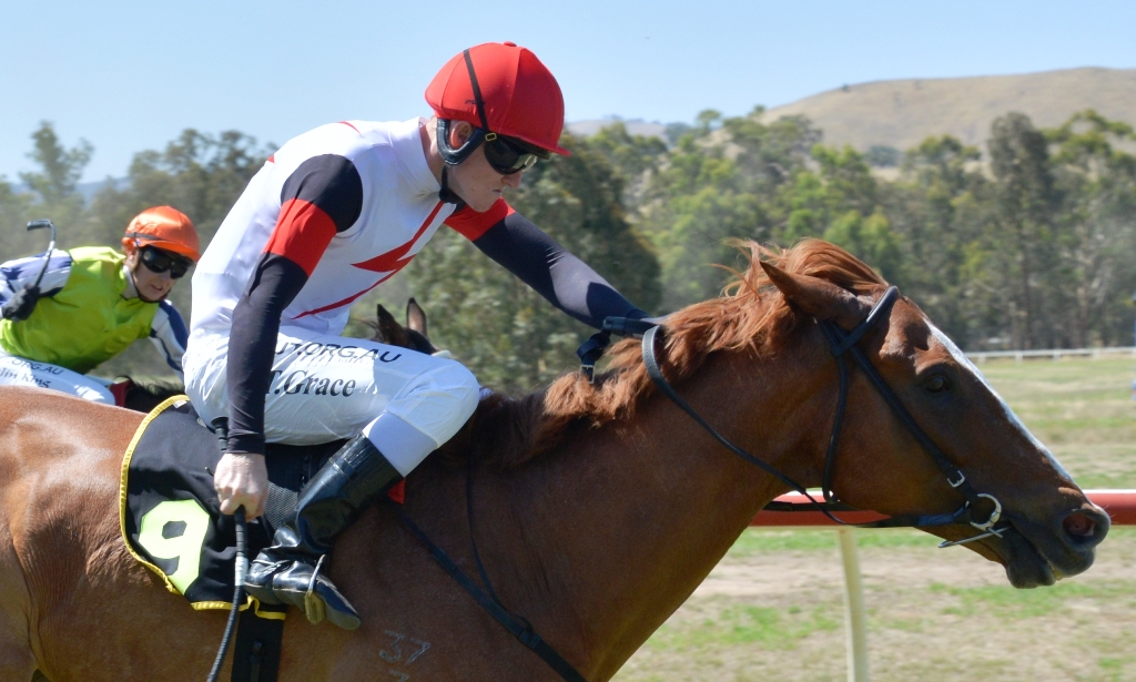 Picnic Racing tweet media