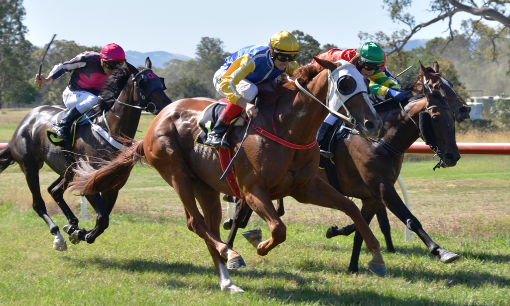 Picnic Racing tweet media
