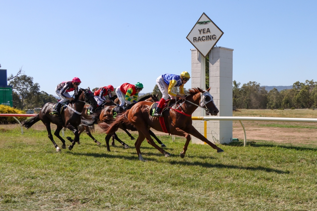 Picnic Racing tweet media
