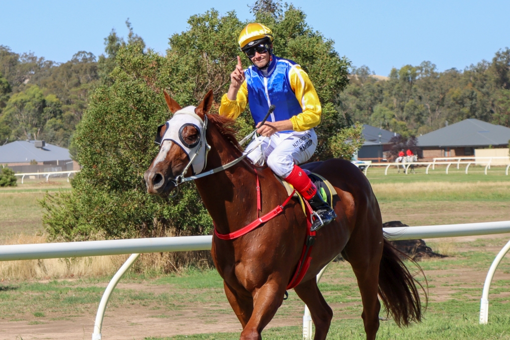Picnic Racing tweet media