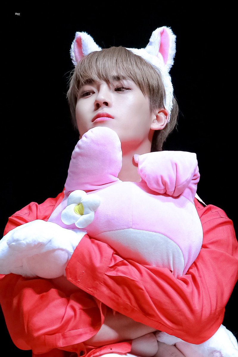 Day 26: imagine being able to pull off any animal you want to be. Seungmin a certified cutie