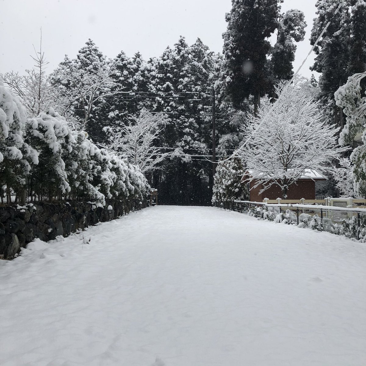 mchhakone's tweet photo. おはようございます❗️
現在の箱根仙石原は積雪10cm、この後もお昼過ぎまで降雪の予報となっていますので
本日は臨時休業とさせていただきます。
ご迷惑をお掛けしますが、ご了承くださいm(_ _)m
#臨時休業
#仙石原
#箱根雪 https://t.co/ySx1mUmem7