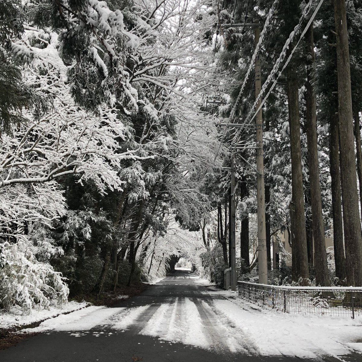 mchhakone's tweet photo. おはようございます❗️
現在の箱根仙石原は積雪10cm、この後もお昼過ぎまで降雪の予報となっていますので
本日は臨時休業とさせていただきます。
ご迷惑をお掛けしますが、ご了承くださいm(_ _)m
#臨時休業
#仙石原
#箱根雪 https://t.co/ySx1mUmem7