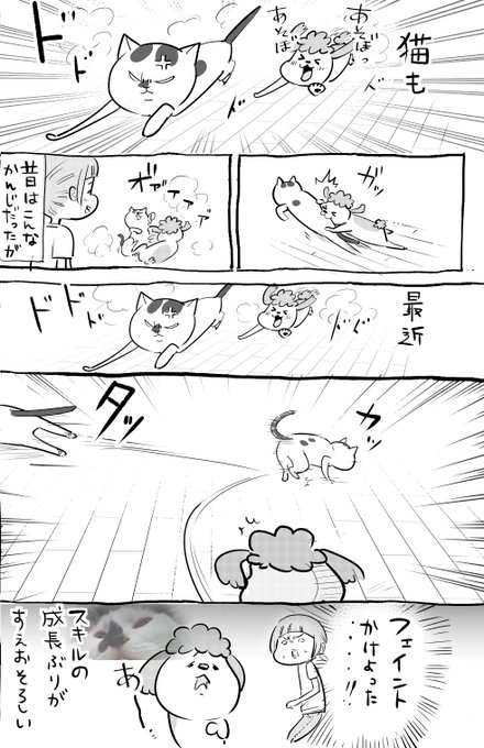 犬と猫の成長の仕方は Twitter漫画が話題に 成長しても抜けてるのが可愛い犬 成長ぶりが末恐ろしい猫 ガジェット通信 Getnews