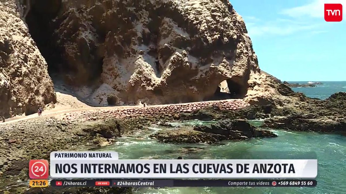 Corporación Municipal Costa Chinchorro tweet media