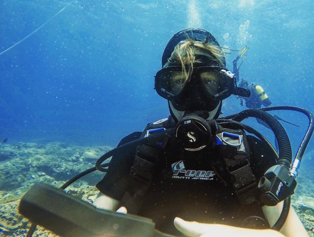 bay_diving's tweet photo. Learn to dive @bay_diving South Africa KwaZulu-Natal #sodwanabay https://t.co/UQ9YnFl4vL