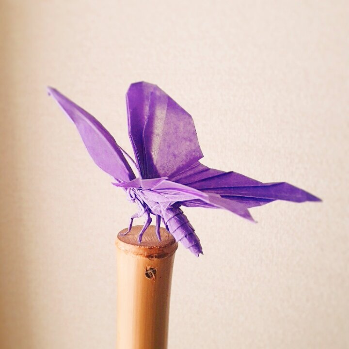 Mon 神谷哲史さん創作チョウ 23cmワックス薄葉紙使用 横から見たときの蝶っぽさを意識して仕上げました 折り紙作品