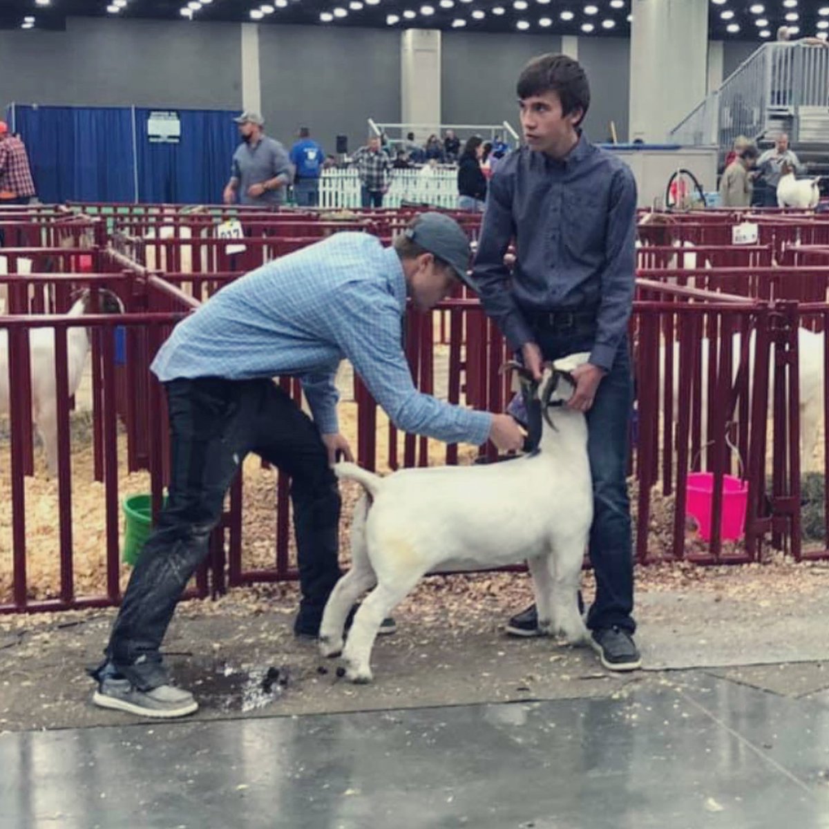 They said I couldn’t. 

That’s why I did it.