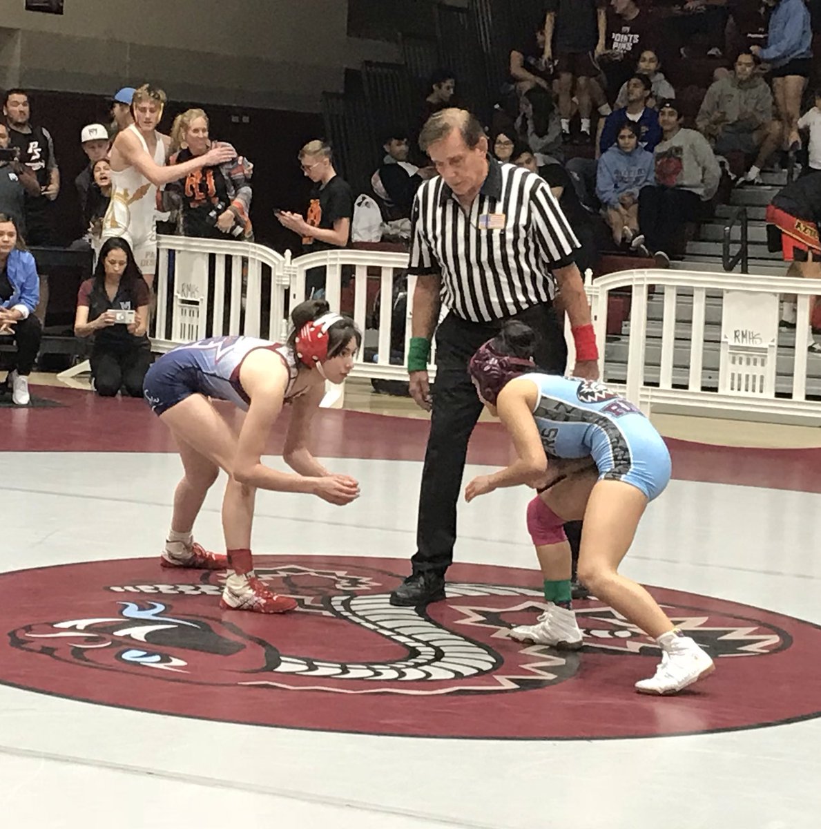 CoachRuiz75's tweet photo. Outstanding job representing @LQBlackhawks by our #LQWrestling had many qualifiers great job ladies &amp; gentlemen!! #TheBlackhawkWay #LQPride https://t.co/Ejg2Wy4utN