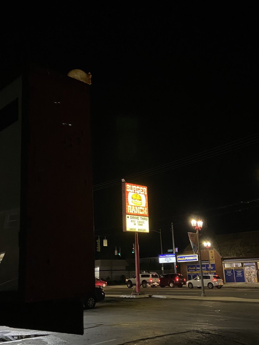sassymonkeys_4's tweet photo. #Monkeyshines2020 https://t.co/8m3DKV54an