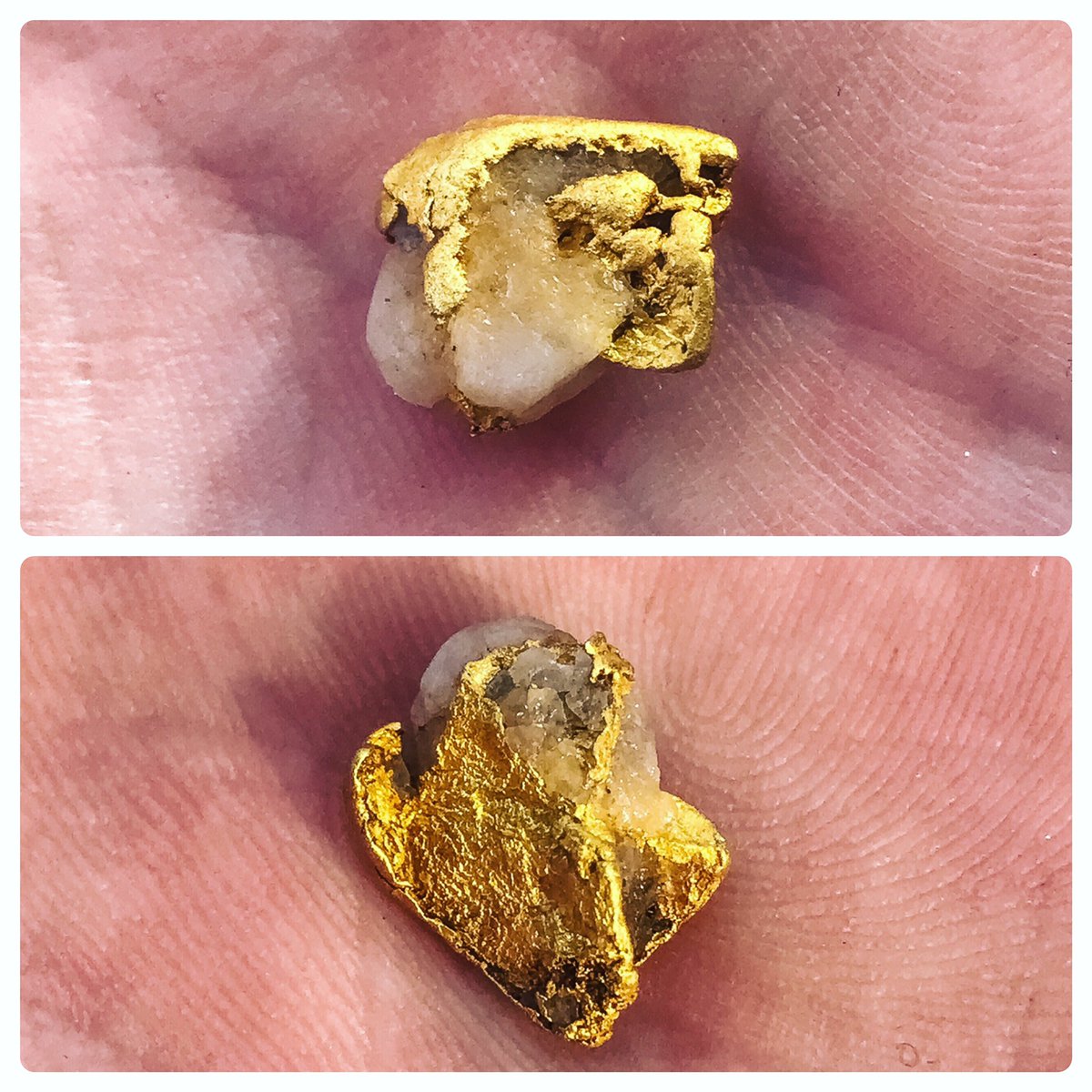 PoseidonProspe1's tweet photo. @Bigdaddy451970 @GoldrushRick Hey, don’t knock diving for gold. A greenhorn like me picked this up last season ✨ https://t.co/9eE5pk7NBN