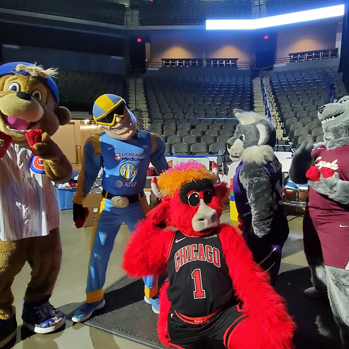windycitybulls's tweet photo. We'd say Gus had a great start to his birthday! He a got cake to share with his friends. He got to hang out with the Boy and Girl Scouts. He even had some friends stop by and sign autographs with him. 

#HappyBirthdayGus #WindyCityNation https://t.co/IHpmXP83oq