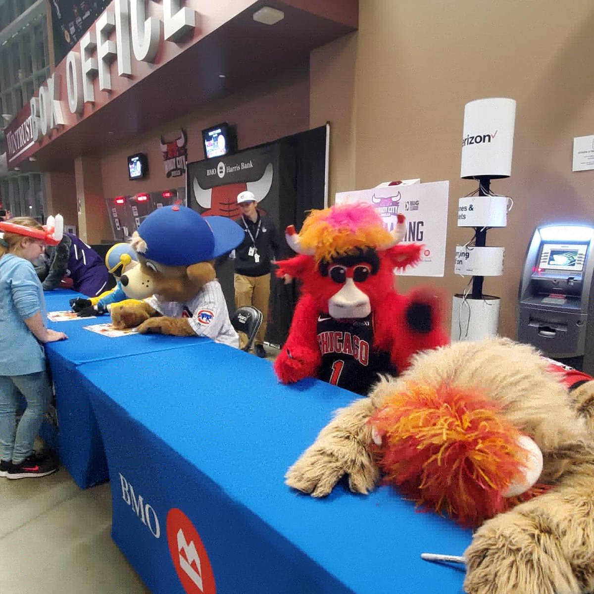 windycitybulls's tweet photo. We'd say Gus had a great start to his birthday! He a got cake to share with his friends. He got to hang out with the Boy and Girl Scouts. He even had some friends stop by and sign autographs with him. 

#HappyBirthdayGus #WindyCityNation https://t.co/IHpmXP83oq