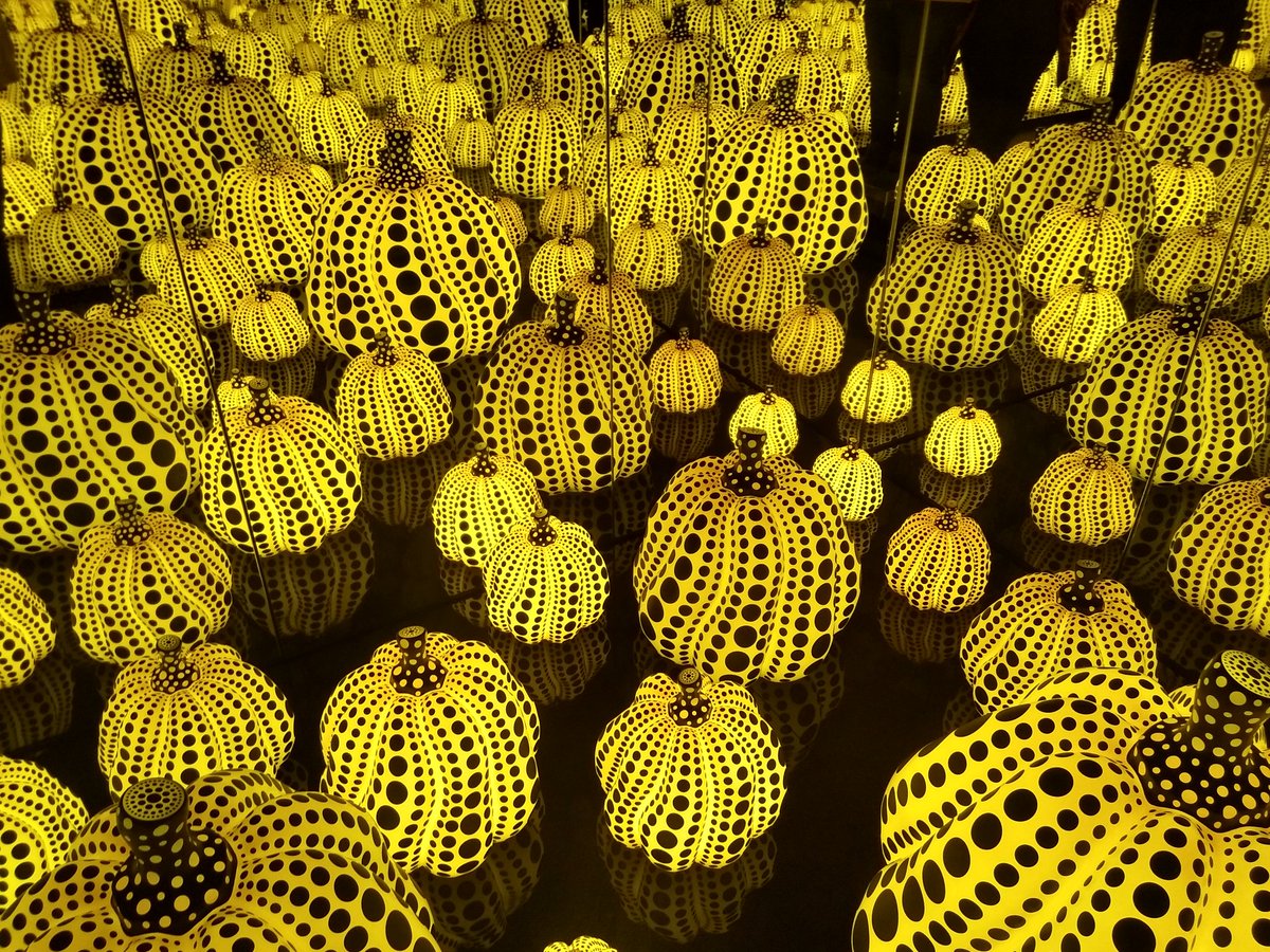 SoSaidSara's tweet photo. We saw the Kusama Infinity Room at the Indianapolis Museum of Art, and now I want to go back dressed in a Cinderella style dress and take a pic. It was pretty magical. #kusamanewfields https://t.co/uhX7CK0KOO