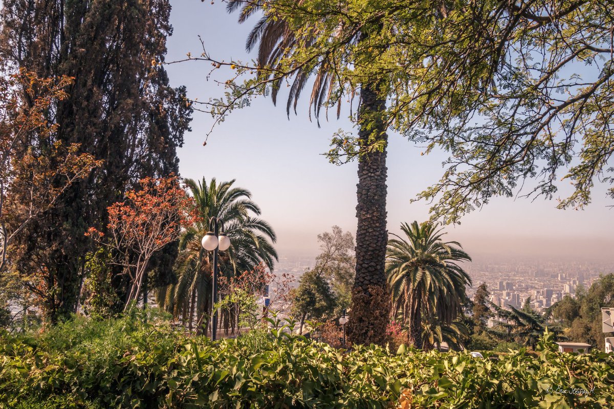 erib1977's tweet photo. Cerro San Cristóbal, sábado . @parquemetminvu
#chile #hiking #outdoors #paisaje #landscape #photography #fotografia #nature #hike #naturephotography #naturelovers #photo #canonphotography #MarcaChile #achilepoh #santiago #santiagoadicto #santiagolovers #visitchile #goforchile https://t.co/WtjRbX5ggo