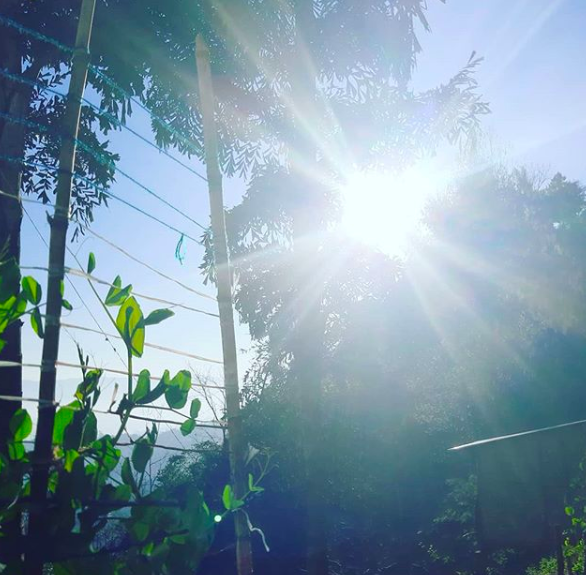 #RepublicDay2020 #Sun in #SundayMorning #HappyRepublicDay2020 #RepublicDay in #Kohima #Nagaland  #SundayThoughts #LovelyMorning