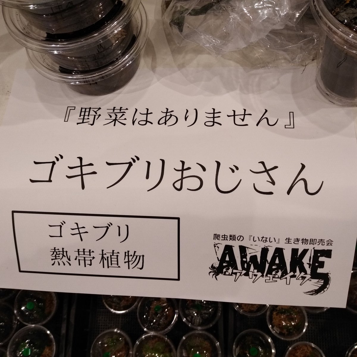 ゴキブリおじさん ゴキブリおじさん