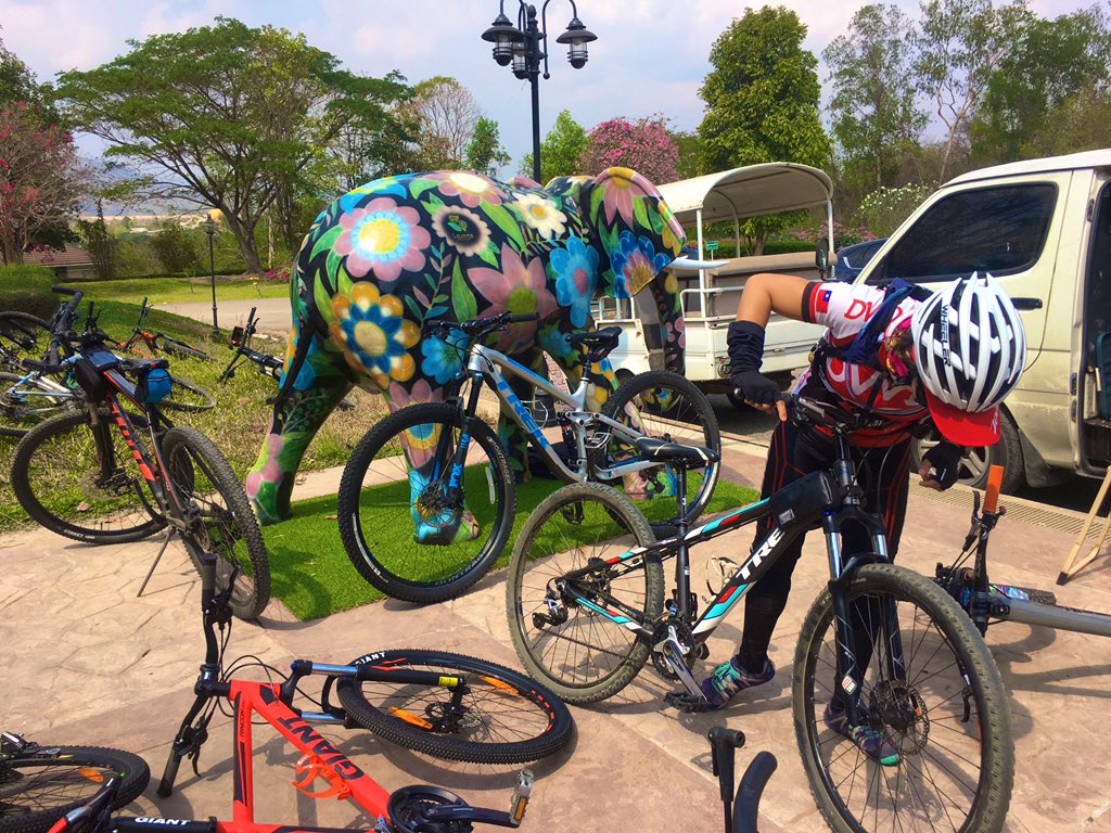 CurtisSChin's tweet photo. A reminder: “Not all who wander are lost.” A message from a Bangkok Hash House Bikers (#BHHB) #cycling shirt.
Safe travels to all this #LunarNewYear #weekend. #planestrainsandautomobiles (& #bikes). Happy #CNY #YearoftheRat #ChineseNewYear https://t.co/wuSUtGh6Bf