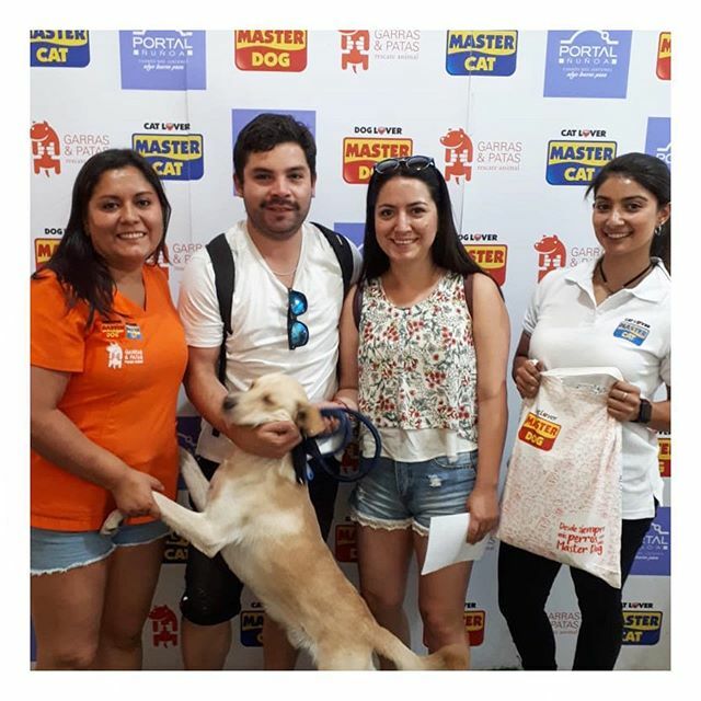 F_GarrasyPatas's tweet photo. #FinalFeliz BIBLOS es un #MasterDog que fue rescatado muy delgado y decaído en estación central.
Hoy en nuestra #JornadaGyP encontró una familia que estará en todas 💓
#PortalDeAdopción #EligeAdoptar #EligeAdoptarGyP #MasterDogChile #MasterCatChile #B… https://t.co/Wr6yVD8o3f https://t.co/frllQVPCx2