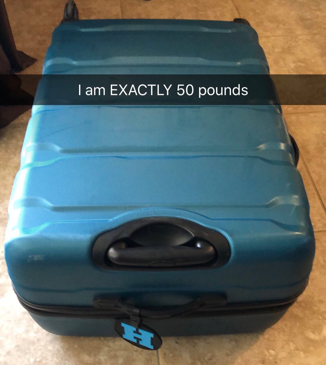 happyandyummy's tweet photo. Packing game on point 🎯🎯🎯 https://t.co/9gVafynpBZ