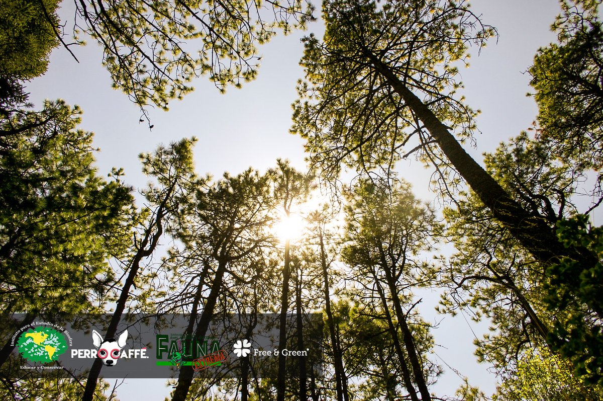 ipebiosfera's tweet photo. A disfrutar el frió de invierno en la montaña.¡¡Ya es viernes!!
.
.
.
#nature #landscape #travel #sky #mountains #beautiful #hiking #adventure #photooftheday #love #clouds #instagood #view #snow #sun #photography #sunset #summer #picoftheday #naturelovers #amazing #winter #green https://t.co/9sIl1WKxLa