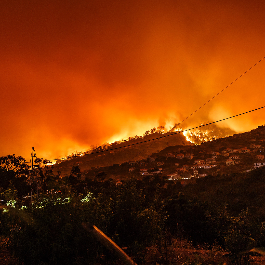 Our shared love and compassion brings us together on Australia Day, during a difficult time for our nation ❤️

Read our latest news item about the bushfires here: ccam.org.au/news/265/comin…

#cathcare #bushfires #Australia #Gippsland #Victoria #compassion
