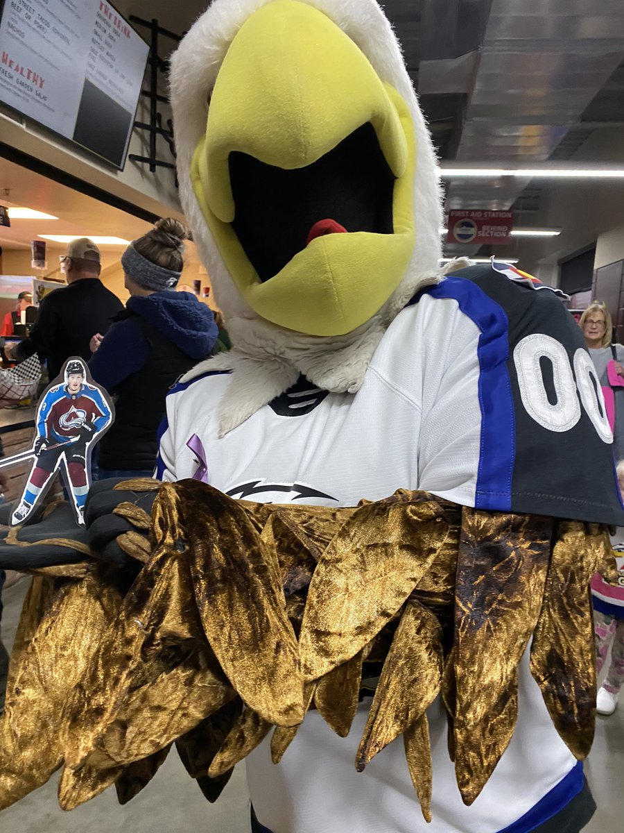titosnhockey's tweet photo. Hey @Avalanche Cale is having a great time @ColoradoEagles game. #AllMailCale #GoAvsGo https://t.co/nffm85XGRG