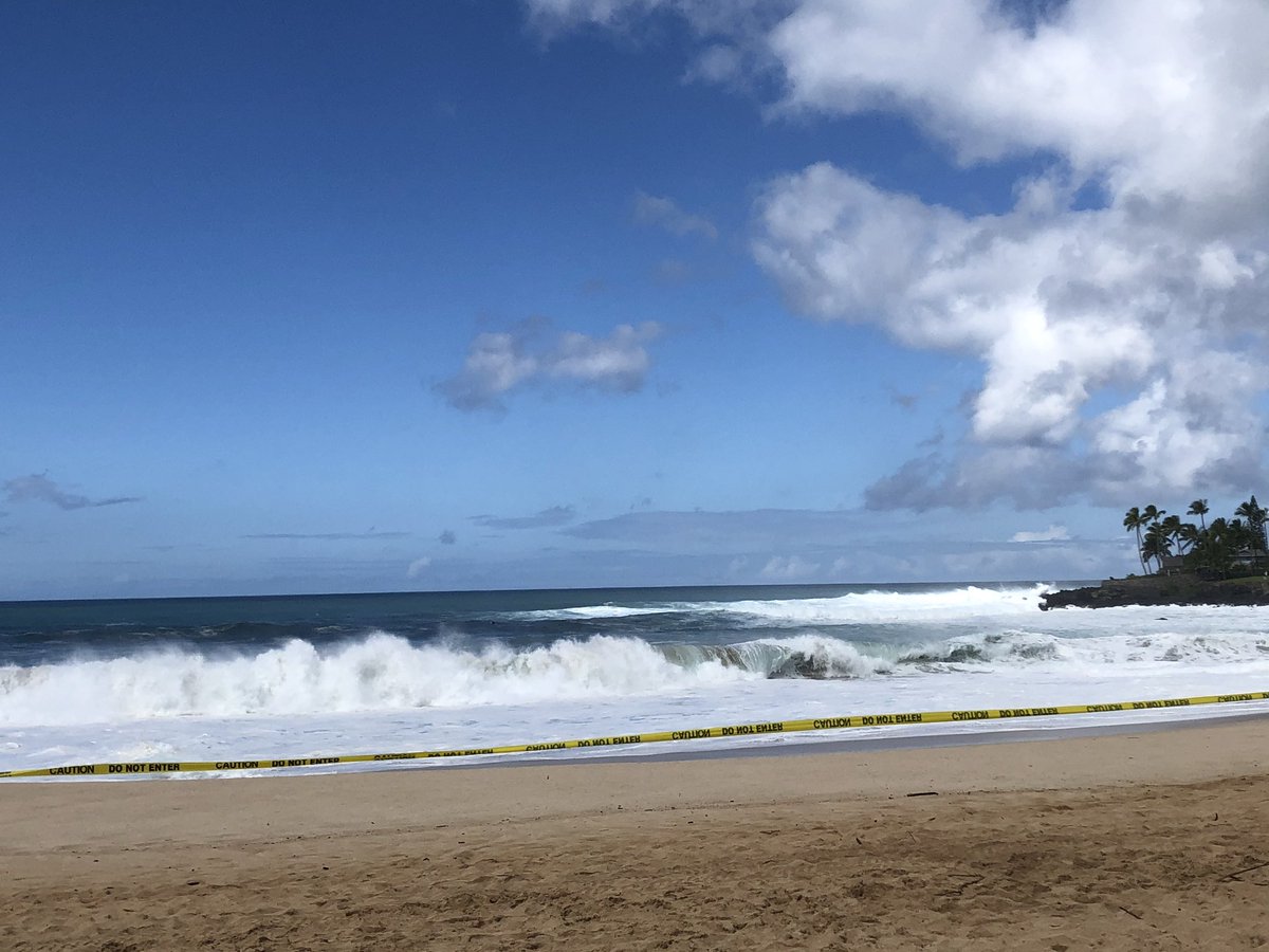 yuika098's tweet photo. North Shore🌊🏄🏽‍♀️ 
Garlic shrimp🦐💯 https://t.co/ZA8OlzxOOL