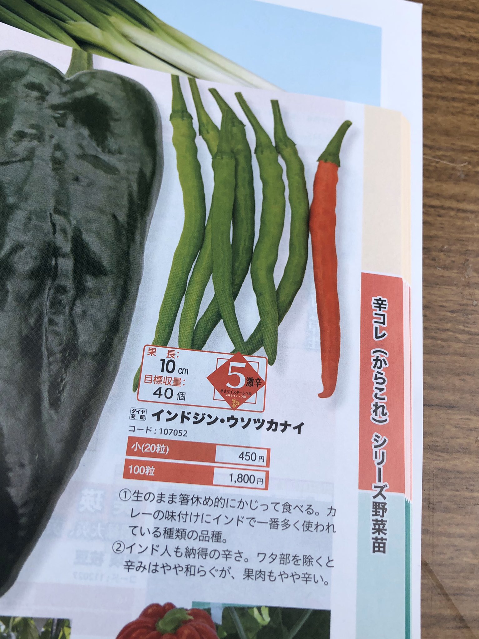 どうしてそんなネーミングを あまりにも奇抜すぎる名前の唐辛子 インドジン ウソツカナイ 話題の画像プラス どうしてそんなネーミングを あまりにも奇抜すぎる名前の唐辛子 インドジン ウソツカナイ 話題の画像プラス