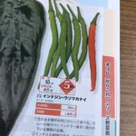 どうしてそんなネーミングを？!あまりにも奇抜すぎる名前の唐辛子「インドジン･ウソツカナイ」!