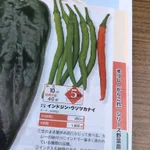 どうしてそんなネーミングを？!あまりにも奇抜すぎる名前の唐辛子「インドジン･ウソツカナイ」!