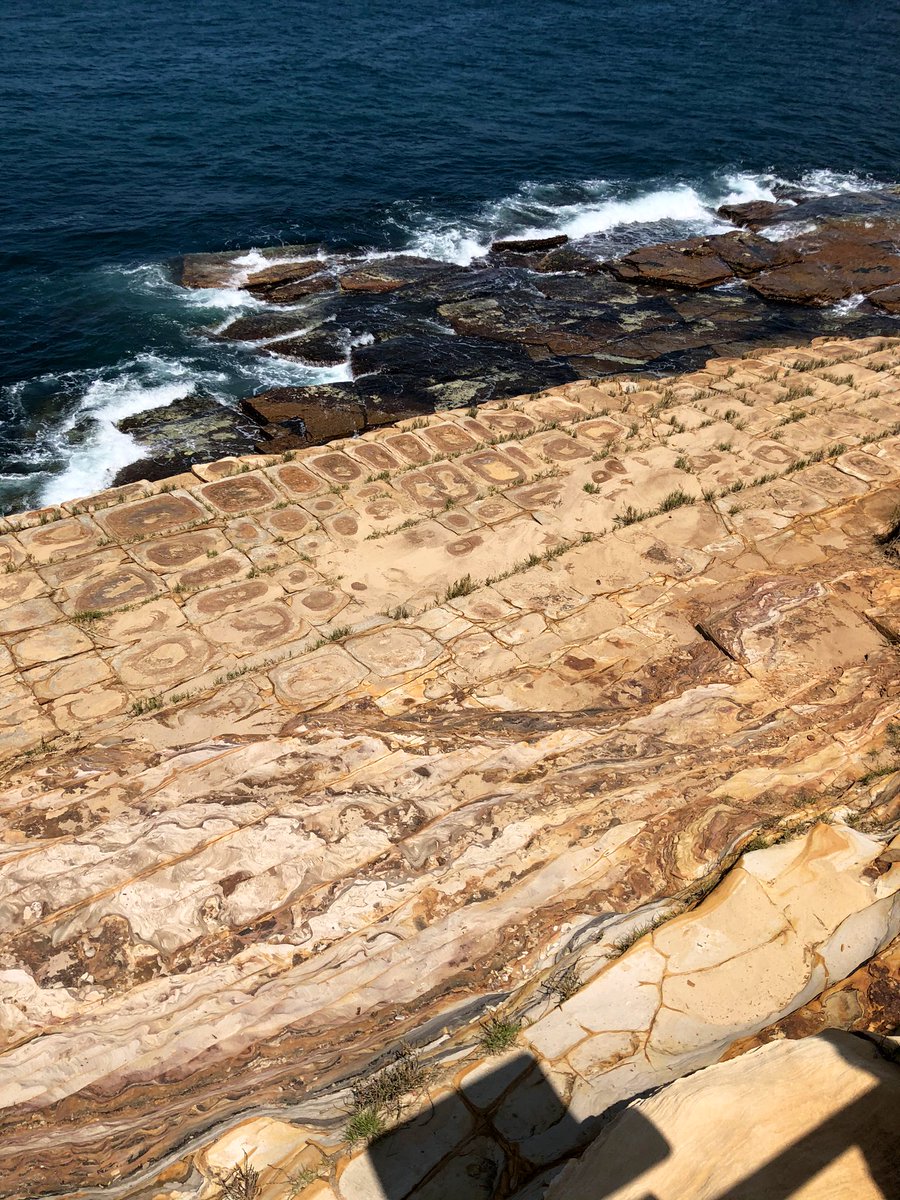 CaitAdcock's tweet photo. Spectacular rock formations at Bouddi National Park on the central coast. The tiled look is known as “tessellated pavement” and caused by the shrinking and expanding of the sandstone #environment https://t.co/FKVO7XM9xY