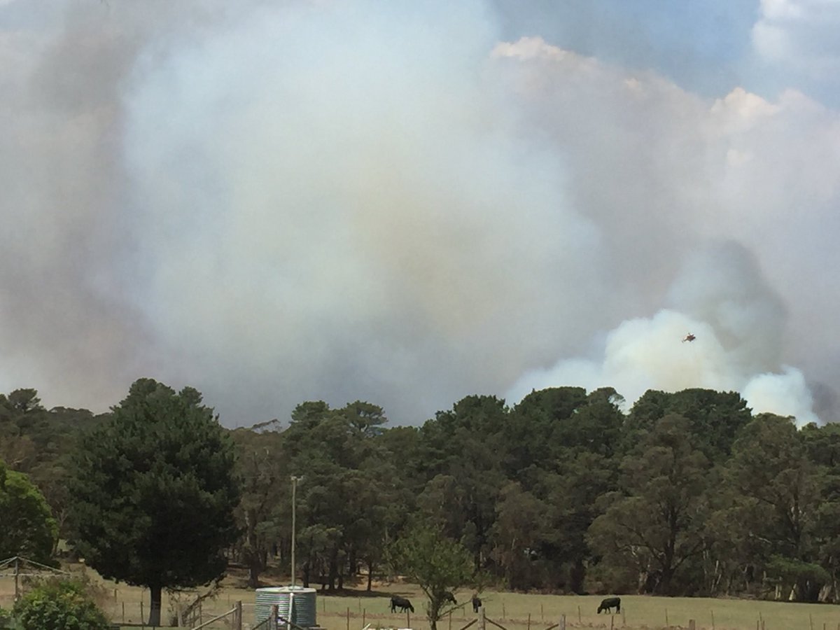 OccupiedOutback's tweet photo. Itβs still not over..π₯π’ #Wingello #Penrose #Bundanoon #MortonFire #NSWfires https://t.co/aQ2a8vSG7z