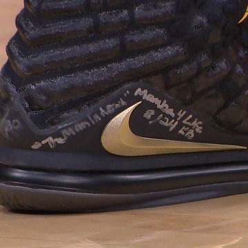 lebron shoes he wore tonight
