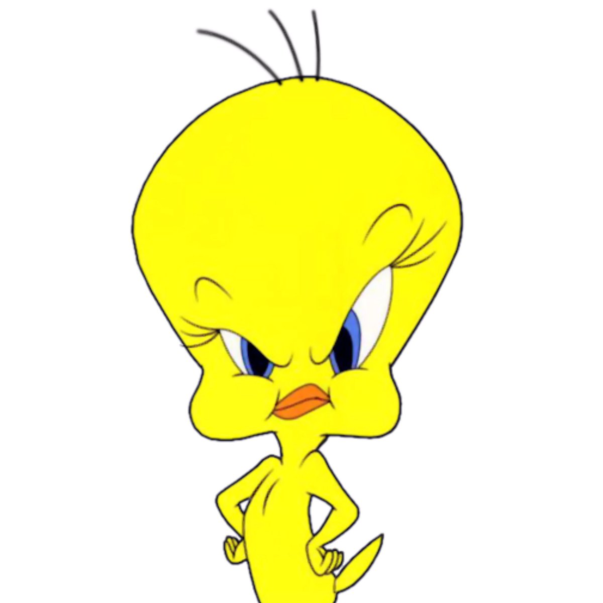 don’t talk to them they’re angy